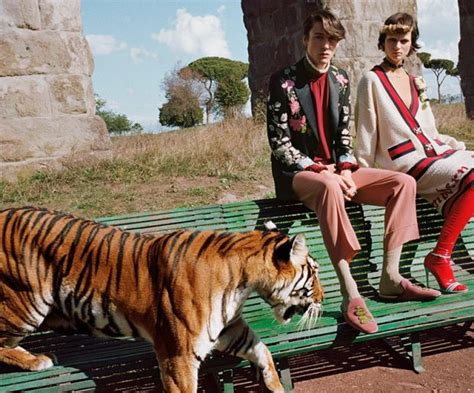 gucci ss17 campaign video|Introducing the Gucci Spring Summer 2017 campaign video.